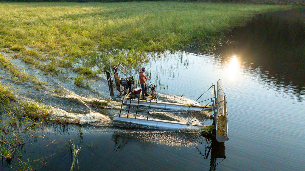CDA Magazine - Harvesting the Lake
